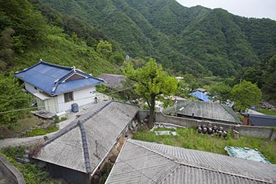 대성리 단천마을 썸네일 이미지