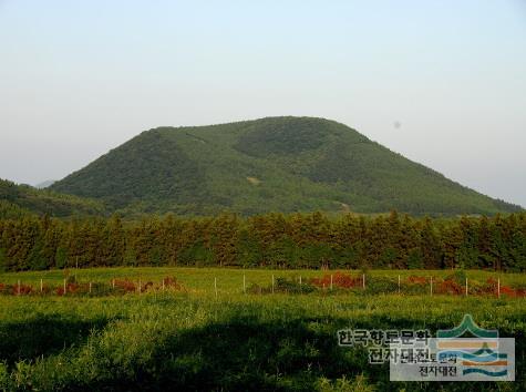 대표시청각 이미지