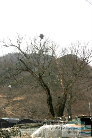 대표시청각 이미지