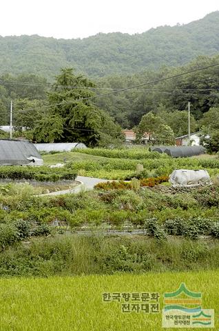 대표시청각 이미지