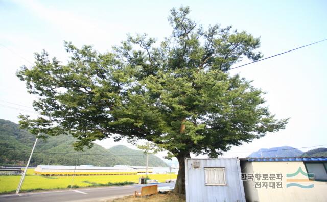 대표시청각 이미지