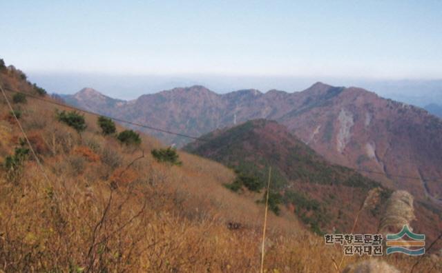 대표시청각 이미지