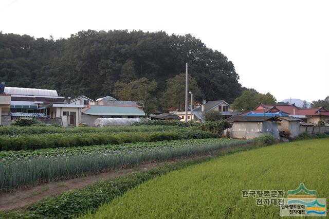 대표시청각 이미지