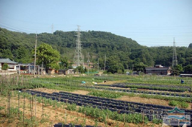 대표시청각 이미지