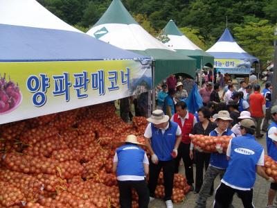 월악산 송계양파 직거래 장터 전경 썸네일 이미지