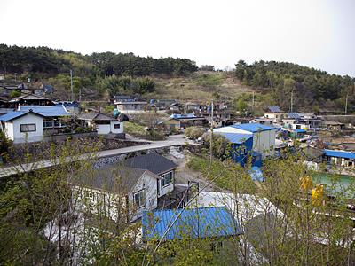 궁항리[금성면] 전경 썸네일 이미지